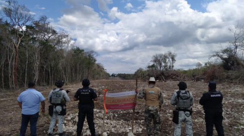 Profepa detecta trabajos de deforestación en área protegida de Calakmul