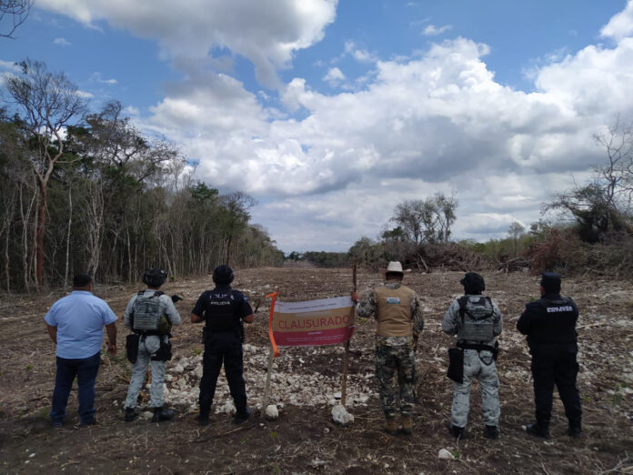 Profepa detecta trabajos de deforestación en área protegida de Calakmul