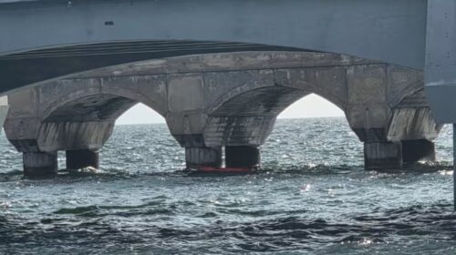 Reportan derrame de hidrocarburo en Progreso, Yucatán