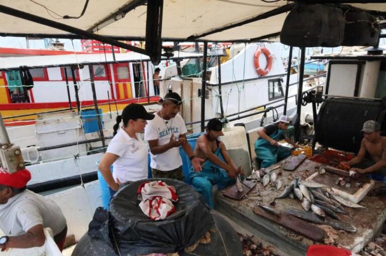 Yucatán arranca la temporada de captura de mero con llamado a la pesca responsable
