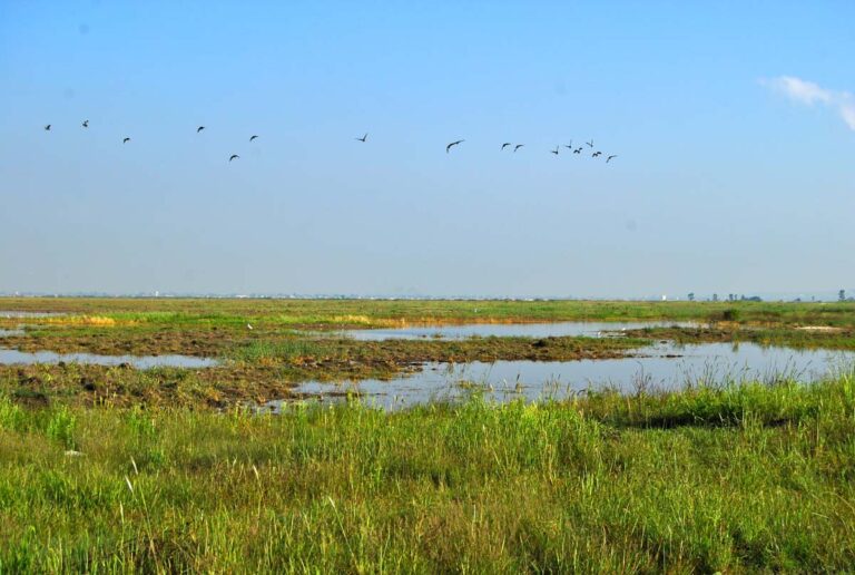 Duro golpe de la SCJN a ejidatarios del Lago de Texcoco