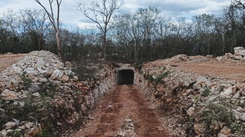 Profepa clausura proyecto turístico en Abalá, Yucatán