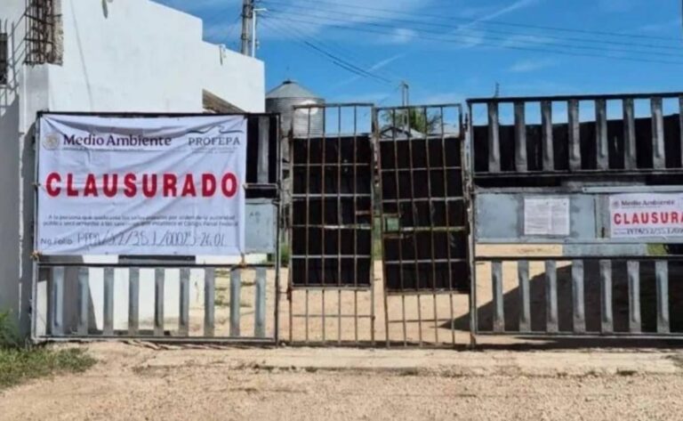 Concretan retiro total de cerdos de granja porcícola en Santa María Chí