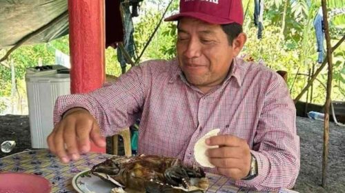 Dirigente de Morena en Macuspana se come tortuga protegida; Profepa ya investiga el caso