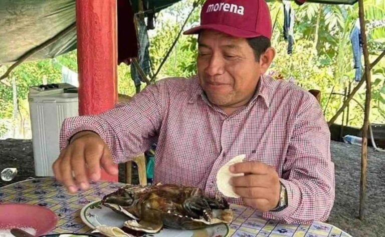 Dirigente de Morena en Macuspana se come tortuga protegida; Profepa ya investiga el caso