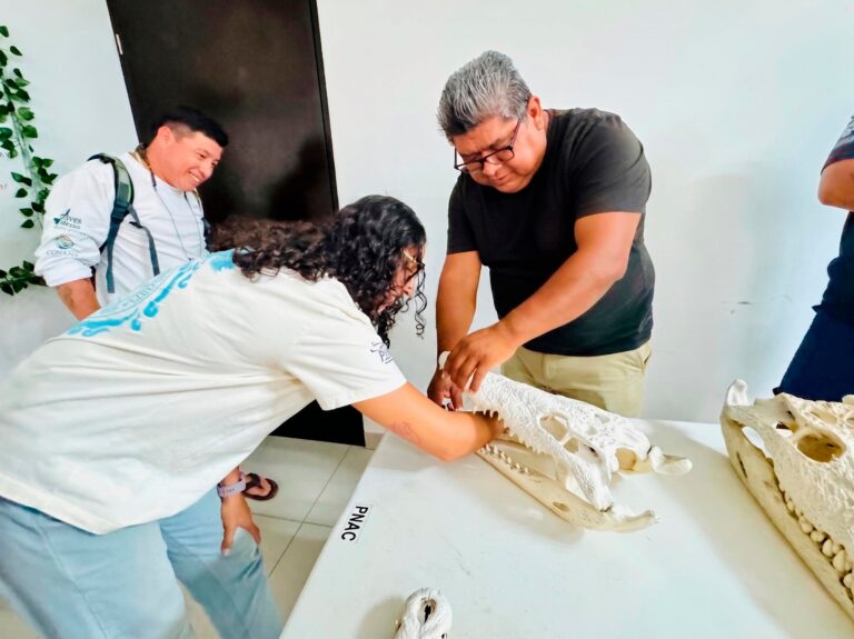FPMC imparte capacitación sobre cocodrilos y su conservación en Cozumel