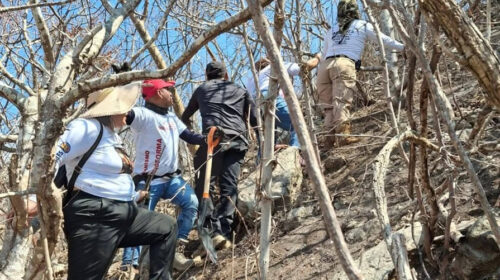 Madres Buscadoras hallan restos óseos en Chiapas