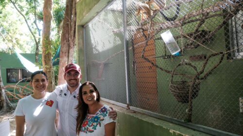 Mara Lezama reitera su llamado al combate contra el maltrato animal