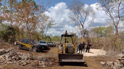 Profepa clausura predio por desmonte ilegal en Reserva Cuxtal