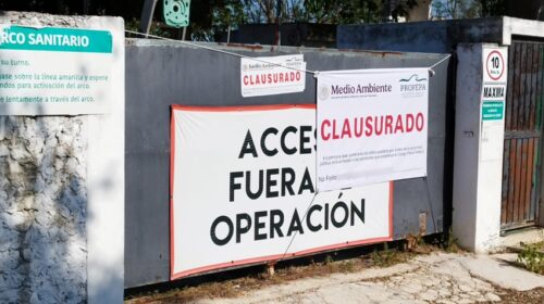 Profepa retira más de 41 mil cerdos de granja en Mérida por daños ambientales