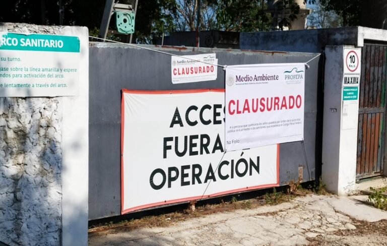 Profepa retira más de 41 mil cerdos de granja en Mérida por daños ambientales