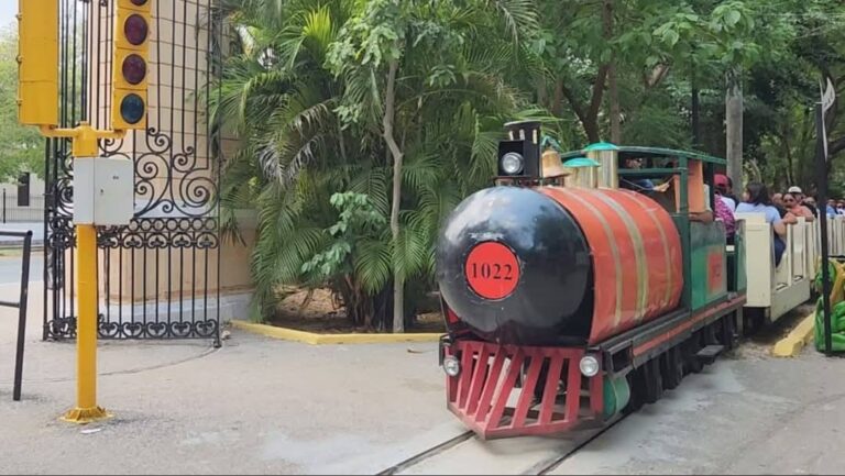 Suspenden servicio del “trenecito” del Centenario de Mérida tras nuevo descarrilamiento