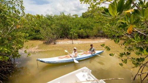 Yucatán destaca en el Atmex Primavera 2026