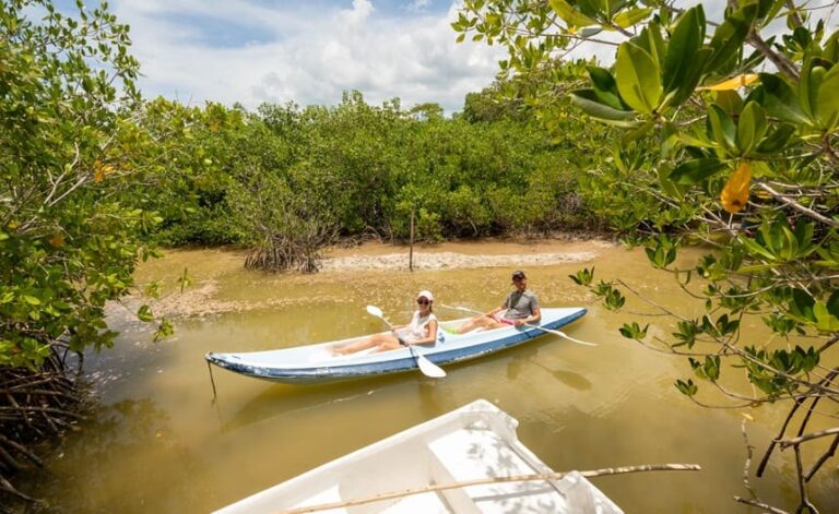 Yucatán destaca en el Atmex Primavera 2026