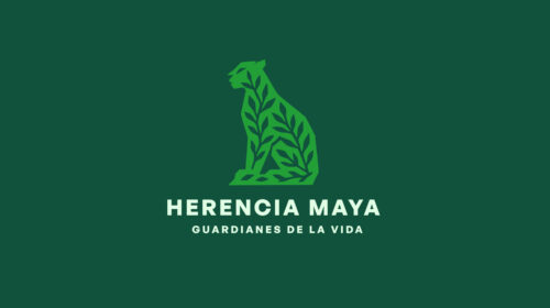 Yucatán y WWF para proteger selvas, manglares y cenotes