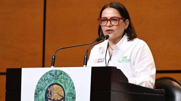 Directora de CFE estudia emisión de más fibras para proyectos eléctricos en México