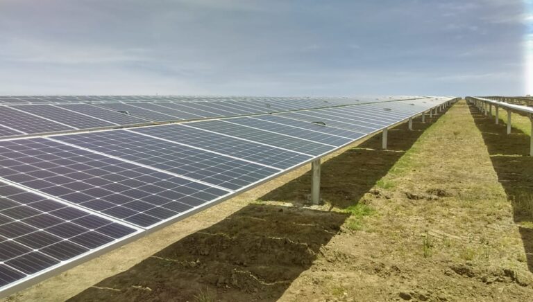 Impulso verde en México: gobierno garantiza 16,000 MW de energía renovable