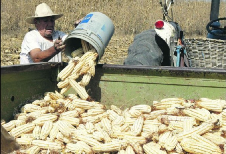 El Gobierno pacta con los productores de maíz “precios justos” para desactivar protestas durante el Mundial