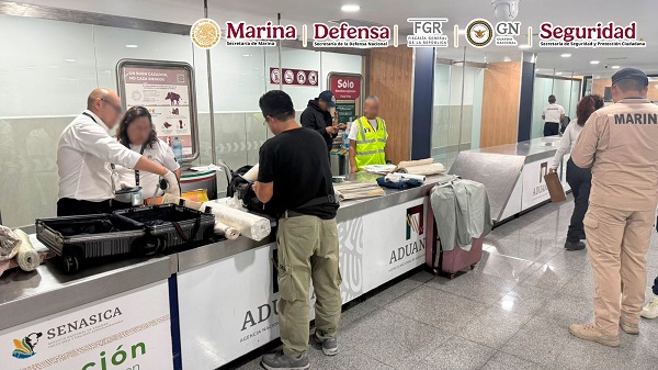 En el AICM, autoridades federales detienen a una persona que transportaba lienzos con narcótico adherido en la pintura