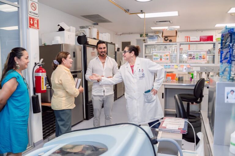 Abren convocatoria para financiar proyectos de investigación científica y tecnológica en Yucatán
