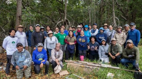 Especialistas crean red de carbono azul para conservar ecosistemas costeros