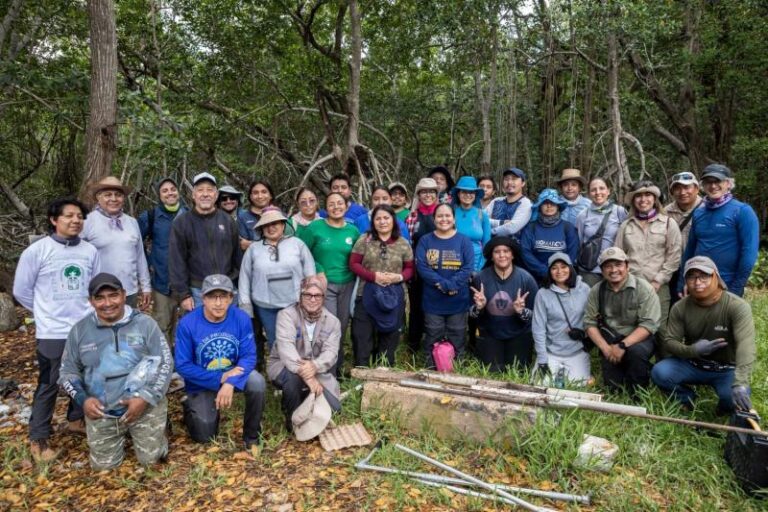 Especialistas crean red de carbono azul para conservar ecosistemas costeros