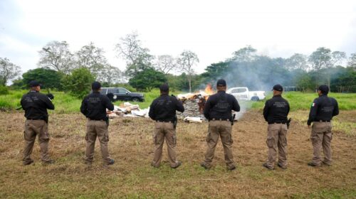 FGR destruye casi una tonelada de droga en Tabasco