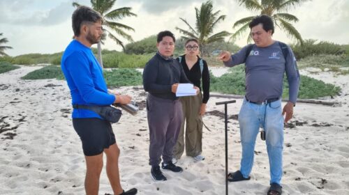 FPMC registra 49 nidos en el primer mes de la temporada de anidamiento de tortugas marinas en Punta Sur