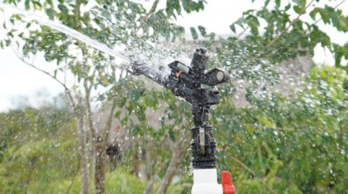 Impulsan el campo yucateco mediante energías limpias e infraestructura hidroagrícola