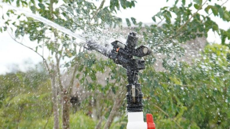 Impulsan el campo yucateco mediante energías limpias e infraestructura hidroagrícola