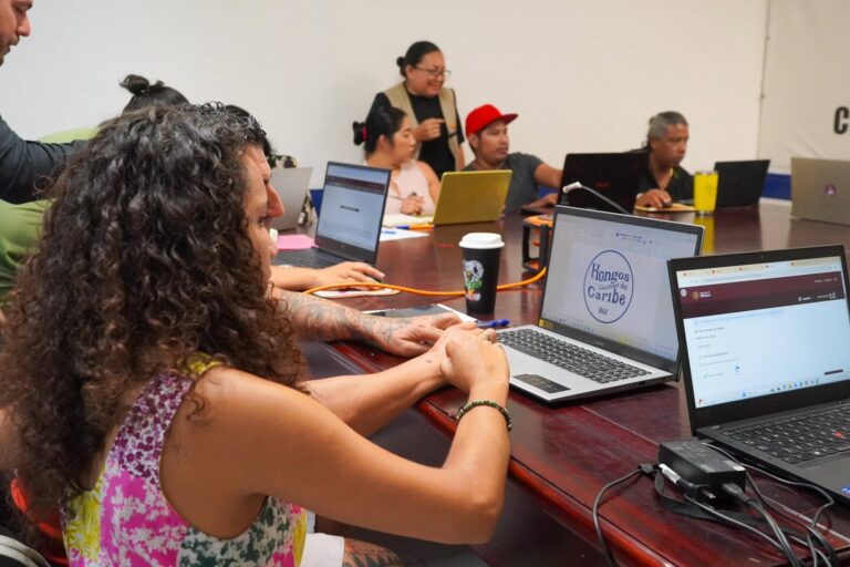 Impulsan la capacitación de MIPyMES de la zona sur de Quintana Roo