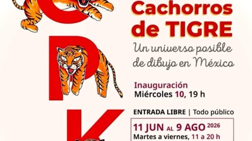Llega por primera vez a Yucatán "Cachorros de Tigre", una histórica exposición con 125 años de dibujo mexicano