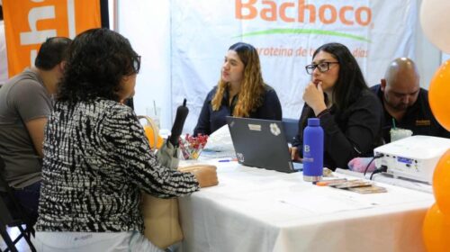 Ofertan más de 500 vacantes en la Feria Nacional de Empleo Mérida 2026