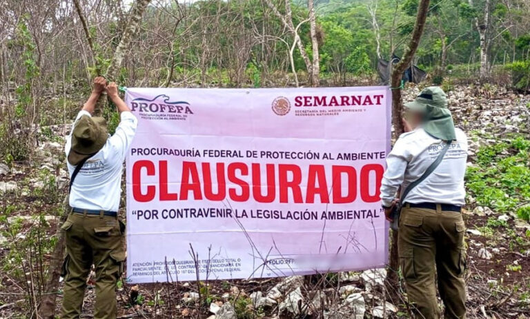 Profepa clausura predio en San Fernando, Chiapas, por deforestación ilegal de selva baja