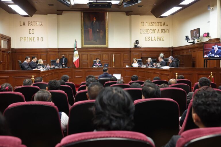SCJN evaluará reconocer a las abejas como sujetos de derechos
