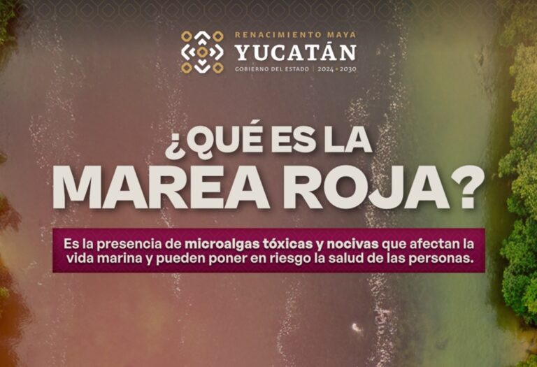Crean red de alerta temprana contra la marea roja en Yucatán
