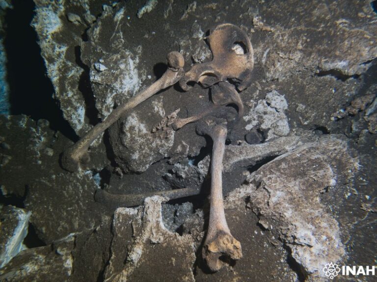 Descubren a “Yatzil” en el Cenote Yaakun, en Playa del Carmen