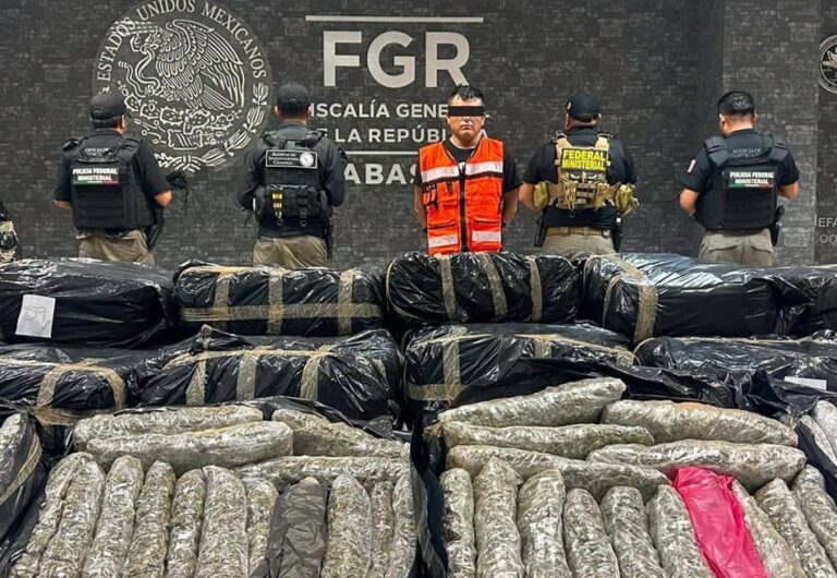 FGR asegura más de una tonelada de marihuana en Huimanguillo, Tabasco