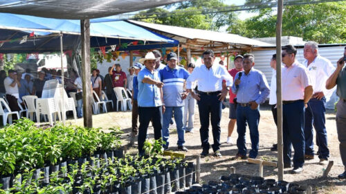 Gobierno de Tabasco impulsa producción agroforestal con la meta de sembrar 30 millones de árboles