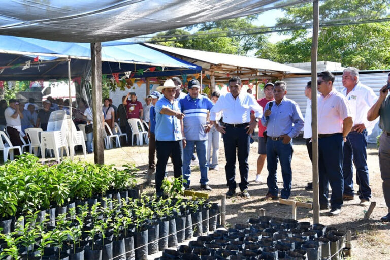 Gobierno de Tabasco impulsa producción agroforestal con la meta de sembrar 30 millones de árboles