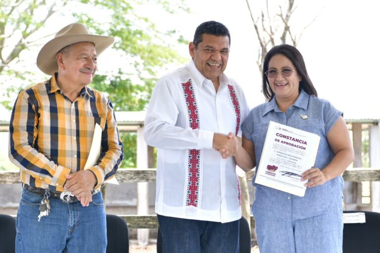 Gobierno de Tabasco reactiva el campo con la entrega de 3,300 cabezas de ganado a pequeños productores