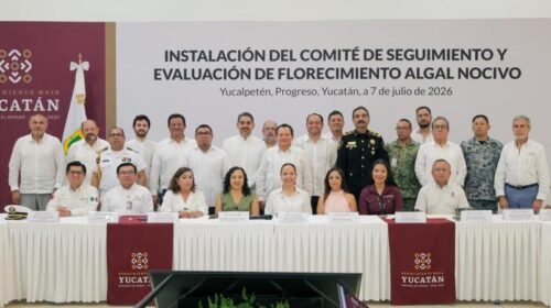 Gobierno de Yucatán activa monitoreo permanente contra la marea roja