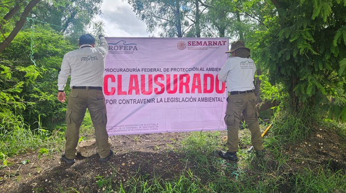 Profepa frena daño ambiental en Chiapas: clausura obras irregulares en Palenque y Comitán