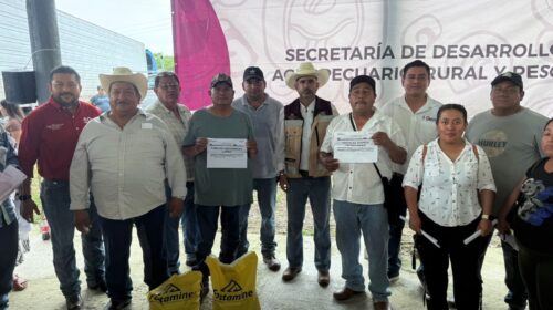 Quintana Roo inicia entrega de apoyos ganaderos por más de 12 millones de pesos