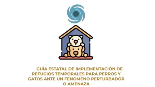 Quintana Roo publica guía pionera para habilitar refugios de perros y gatos ante desastres naturales