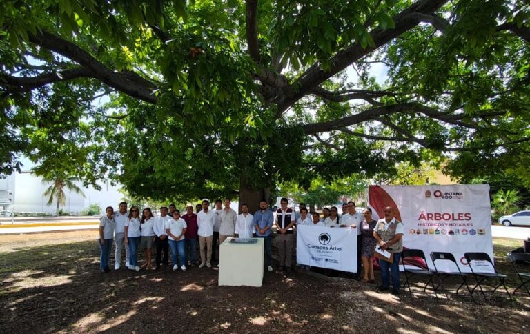 SEMA declara el primer ‘Árbol Notable’ en Benito Juárez