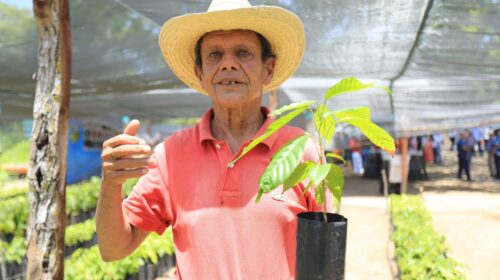 Tabasco alista Segunda Jornada de Reforestación 2026 con más de 300 mil árboles nativos