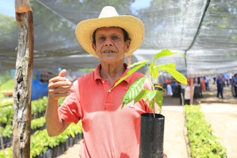 Tabasco alista Segunda Jornada de Reforestación 2026 con más de 300 mil árboles nativos