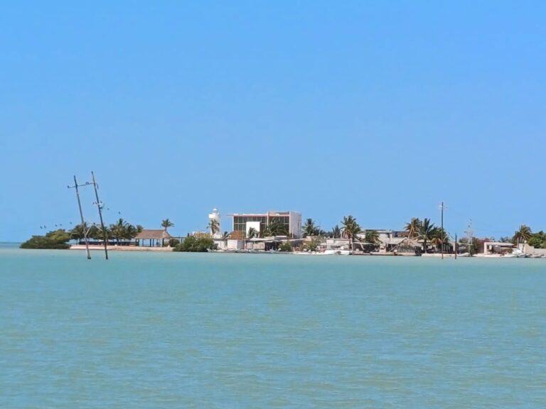 Yucatán alista el inicio de la temporada de captura de pulpo 2026