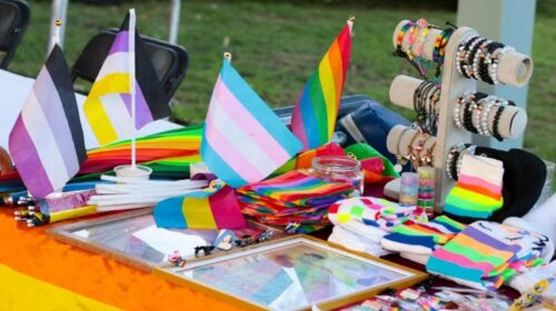 Yucatán crea el primer Padrón Estatal de Personas Emprendedoras LGBTI+